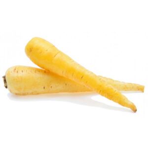 Zanahoria Blanca
