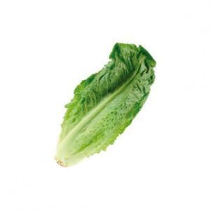 Ensalada Larga